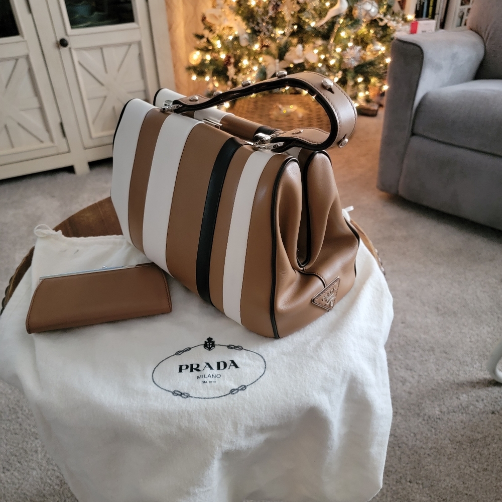 RARE Authentic Prada Baiadera Frame Bag